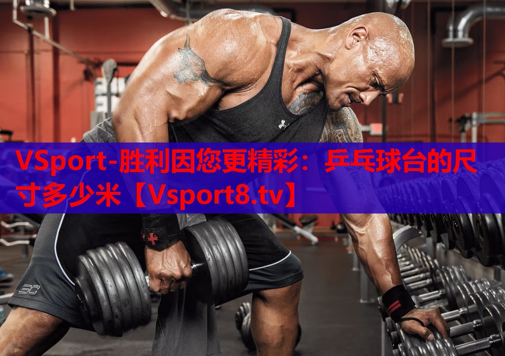 VSport-勝利因您更精彩：乒乓球臺(tái)的尺寸多少米
