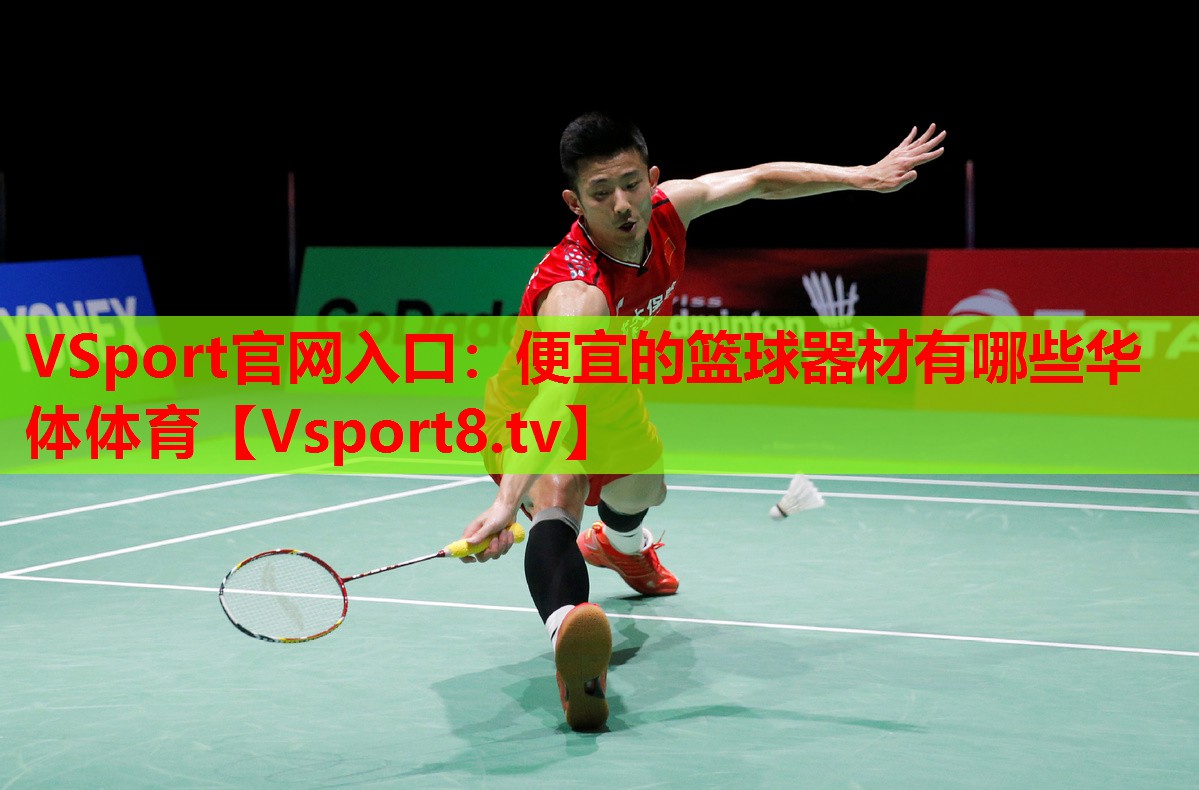 VSport官網入口：便宜的籃球器材有哪些華體體育